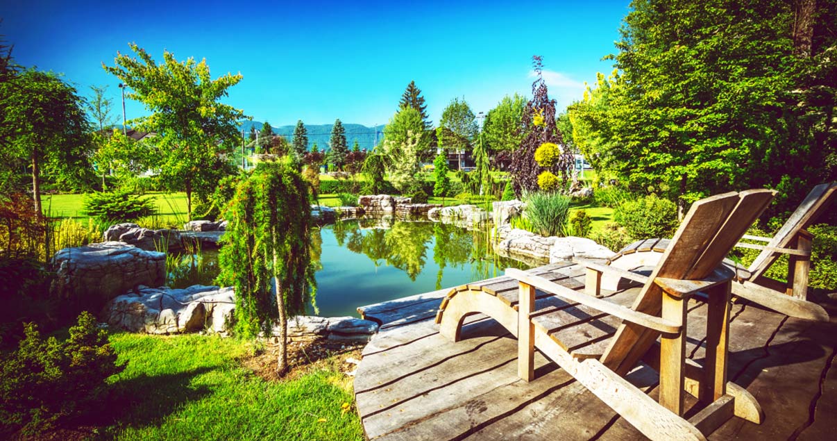 661d9bae68c53be2baaf9912 Forest Hero Web