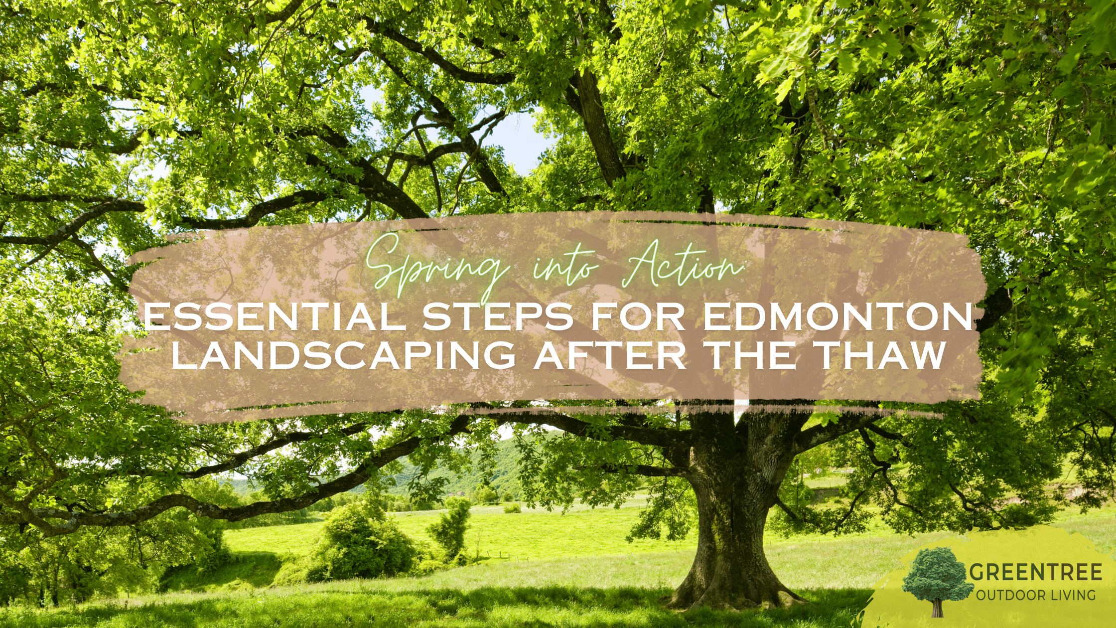 Essential Steps for Edmonton Landscaping After the Thaw